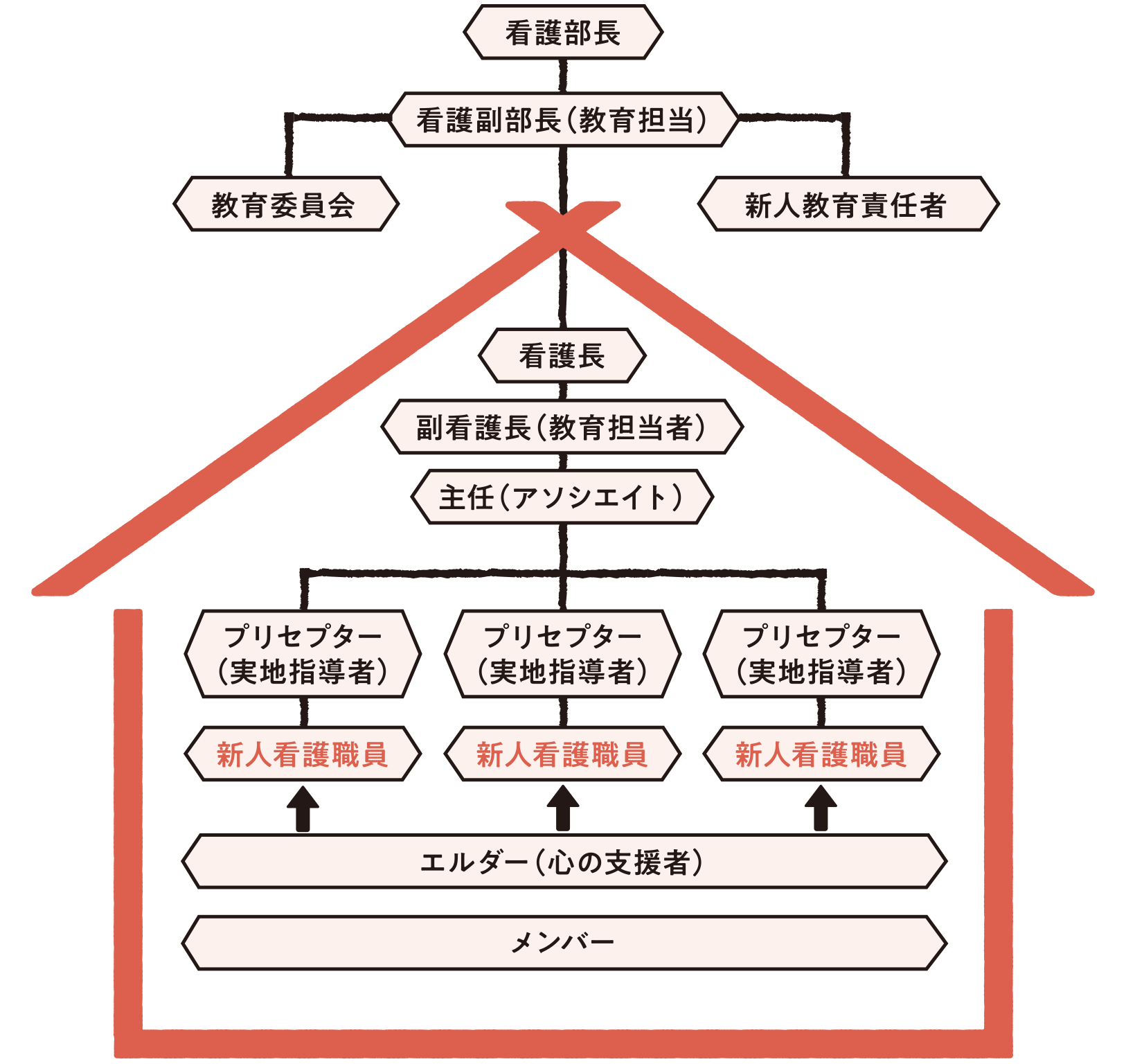 新人看護職員教育指導体制図